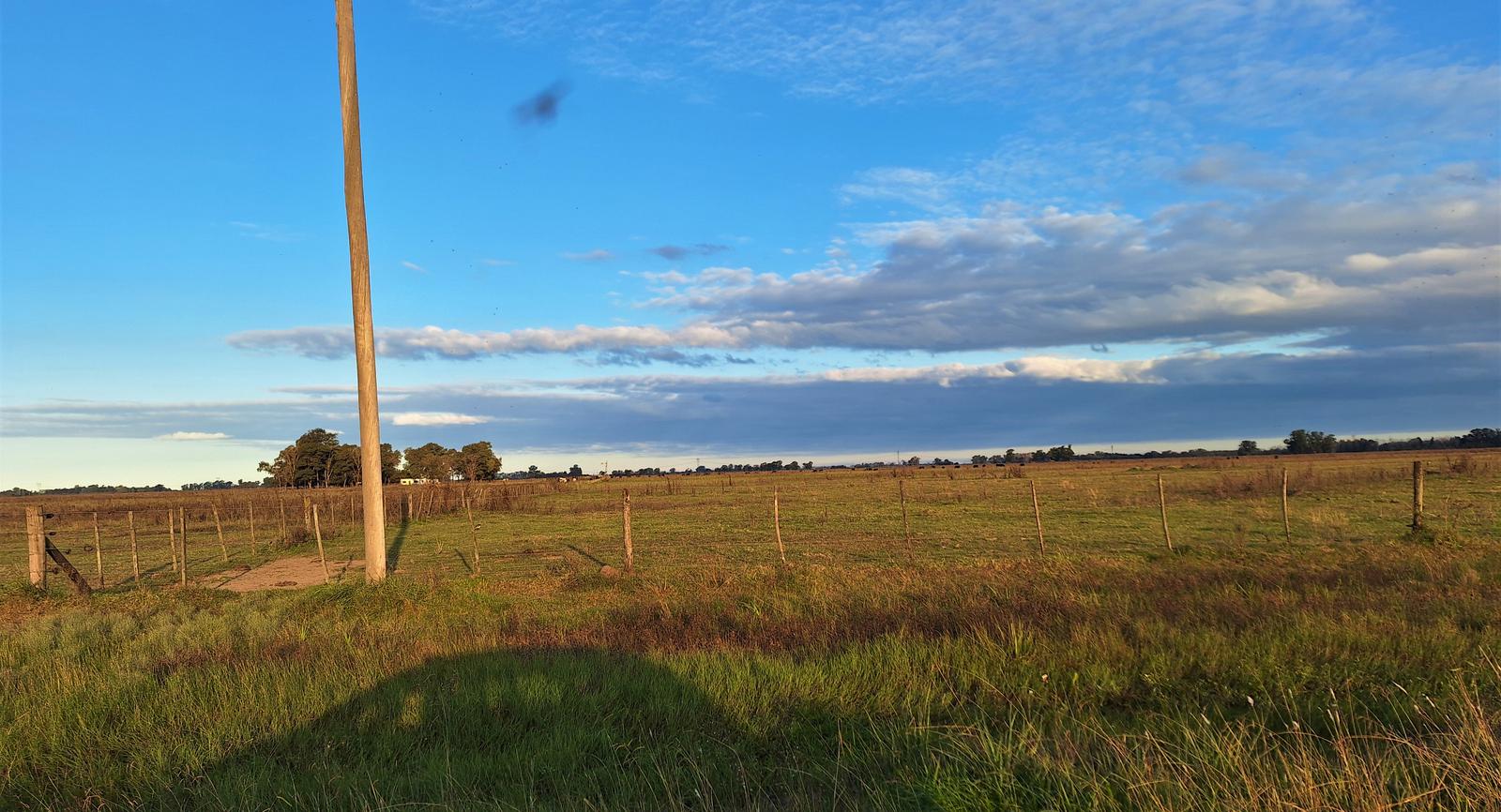 Campo en venta en Buchanan