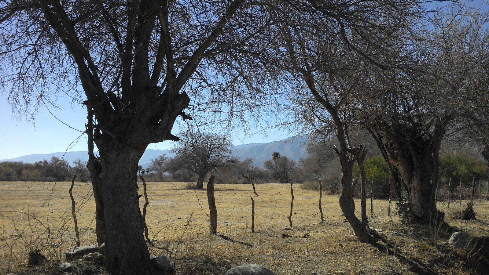 Terreno en  San Luis