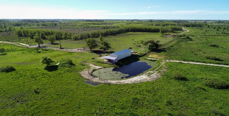 Campo en Venta 340 has en Paranacito Entre Rios, a 1500 metros de RN12