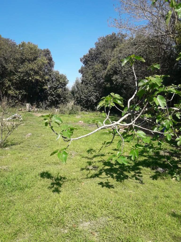 Terreno en  liquidación