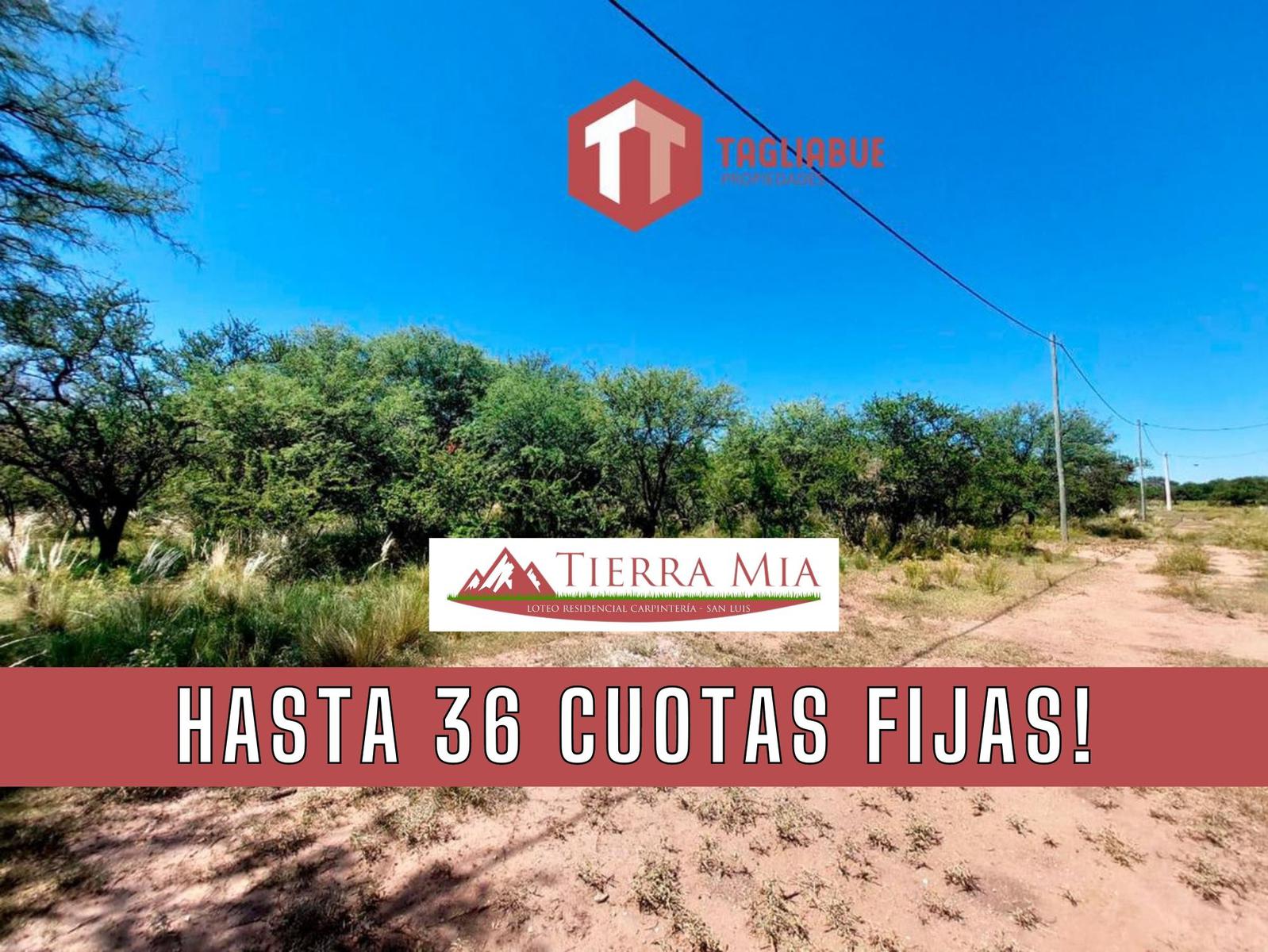 TIERRA MIA - Lote 120