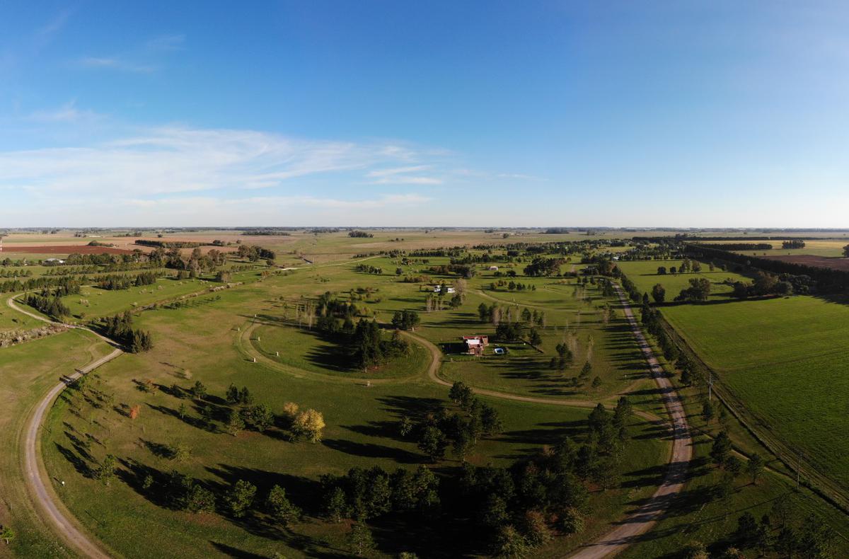 Últimos Lotes en venta en el Club de Campo Las Hojas