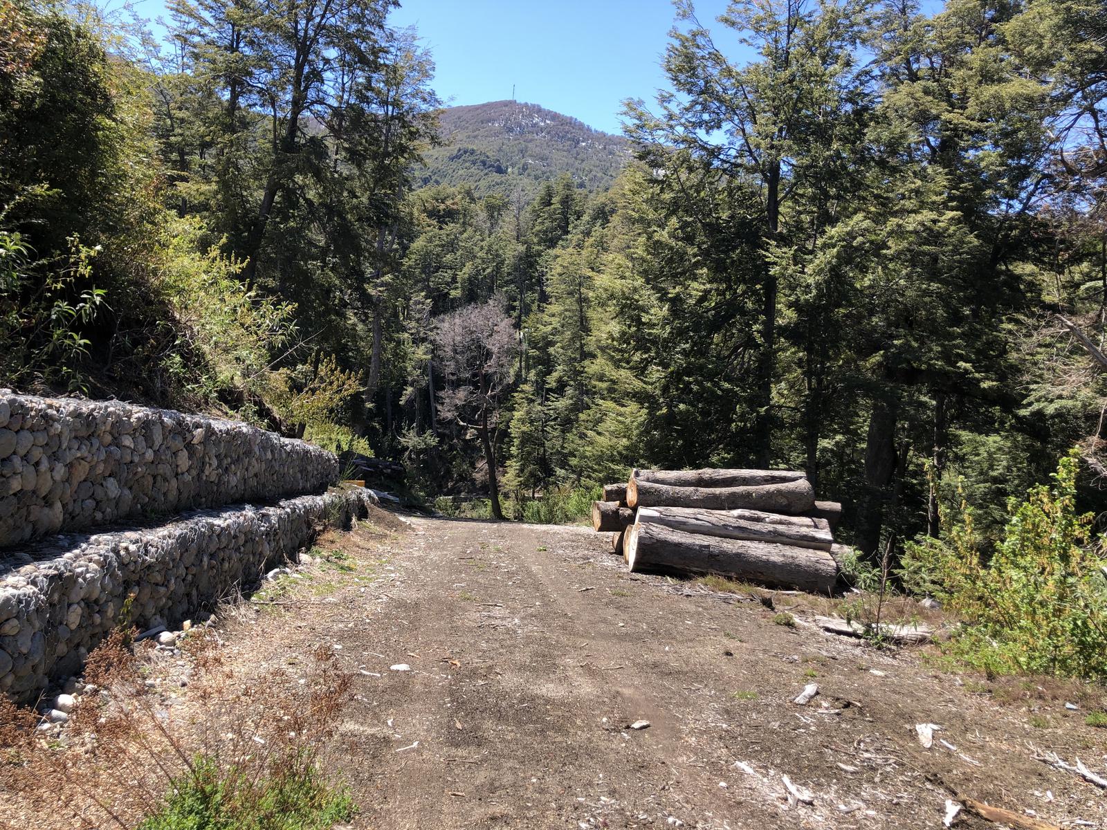 Terreno en Villa La Angostura - Neuquen - Patagonia