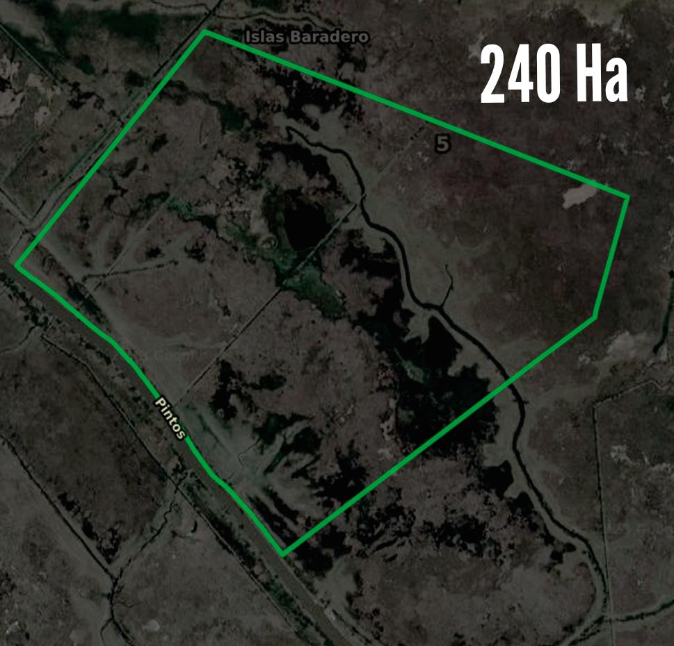 Campo en venta - 240 Hectáreas - Baradero