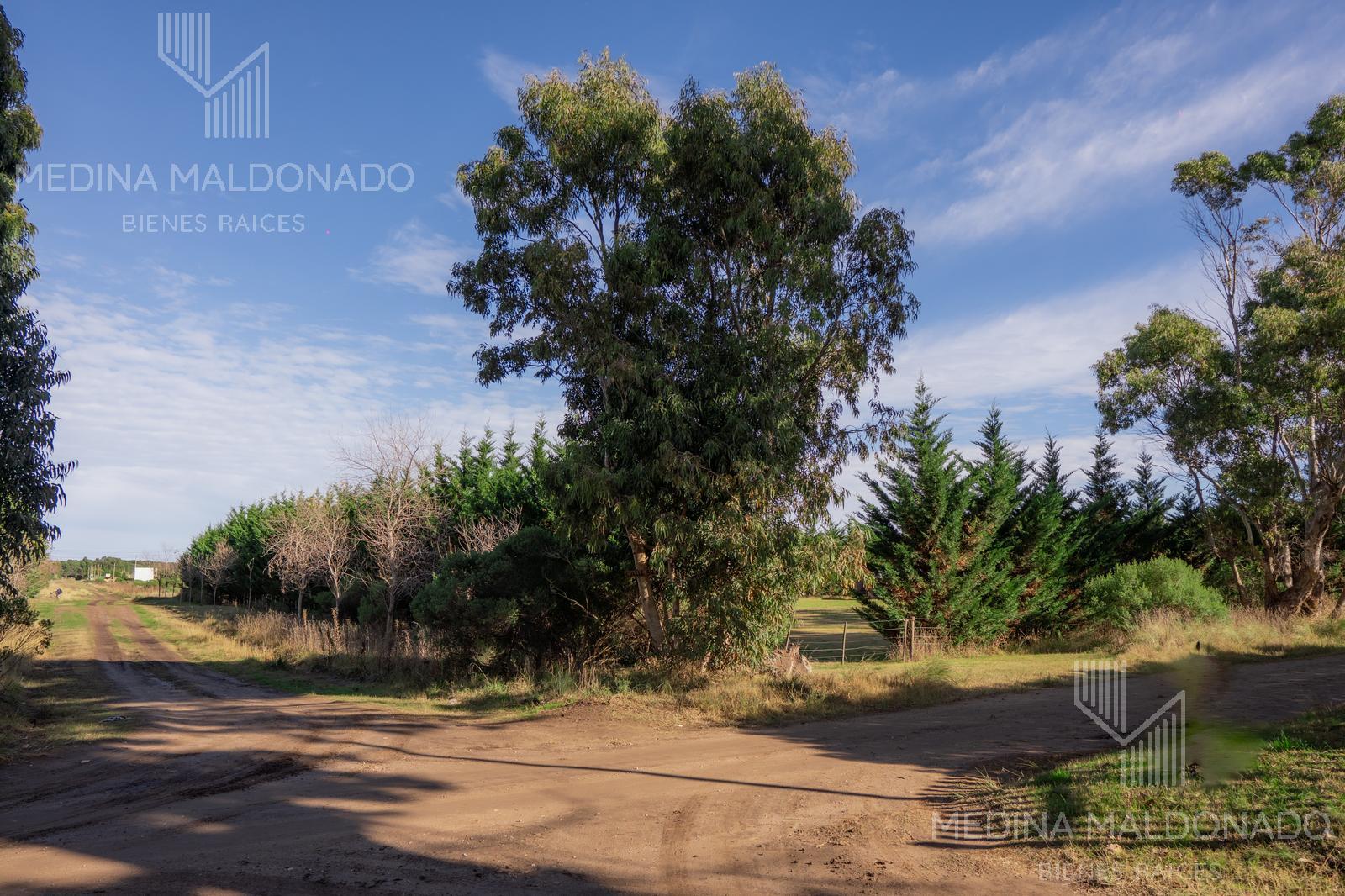 TERRENOS FRACCIÓN  EN VENTA EN NECOCHEA - A CUATRO CUADRAS DEL MAR