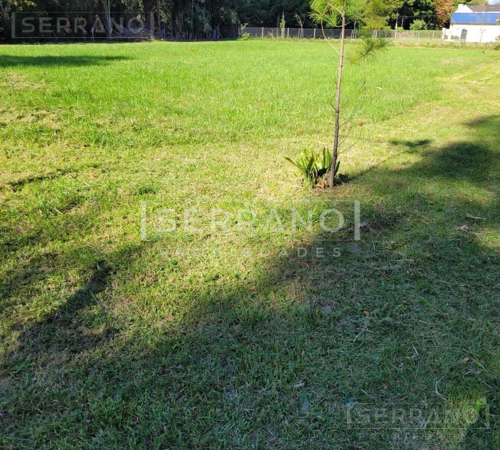 Terreno Lote  en Venta en El Remanso, Exaltación de la Cruz