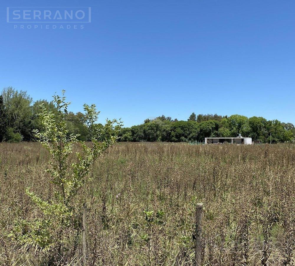 Venta Lote de 3393m2 en El Remanso, Exaltación de la Cruz