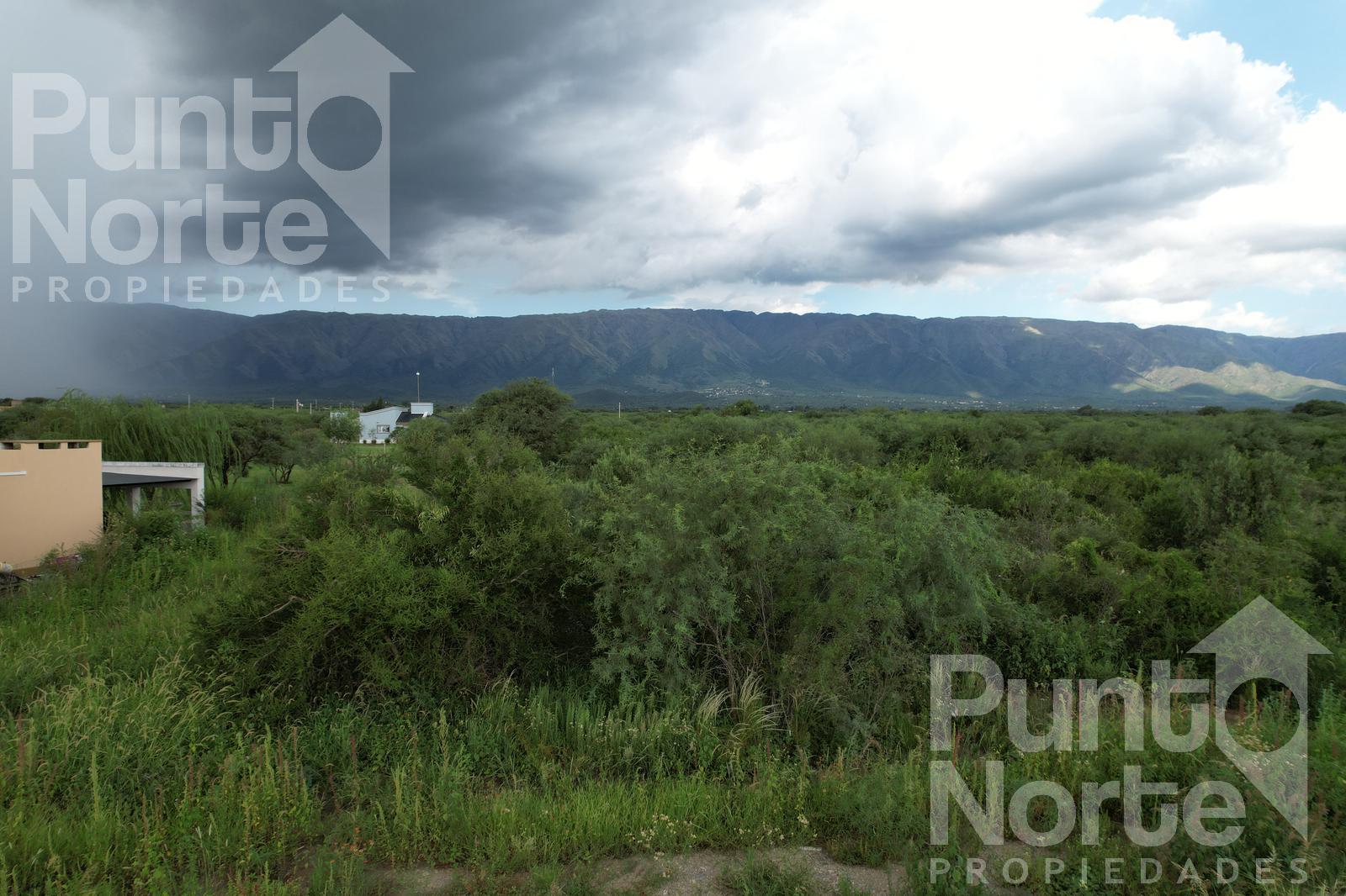 Terreno en Carpinteria