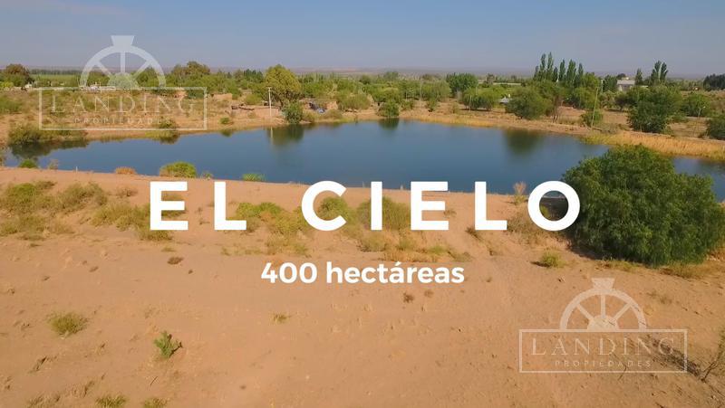 Campo en Venta - Finca Productiva en Mendoza