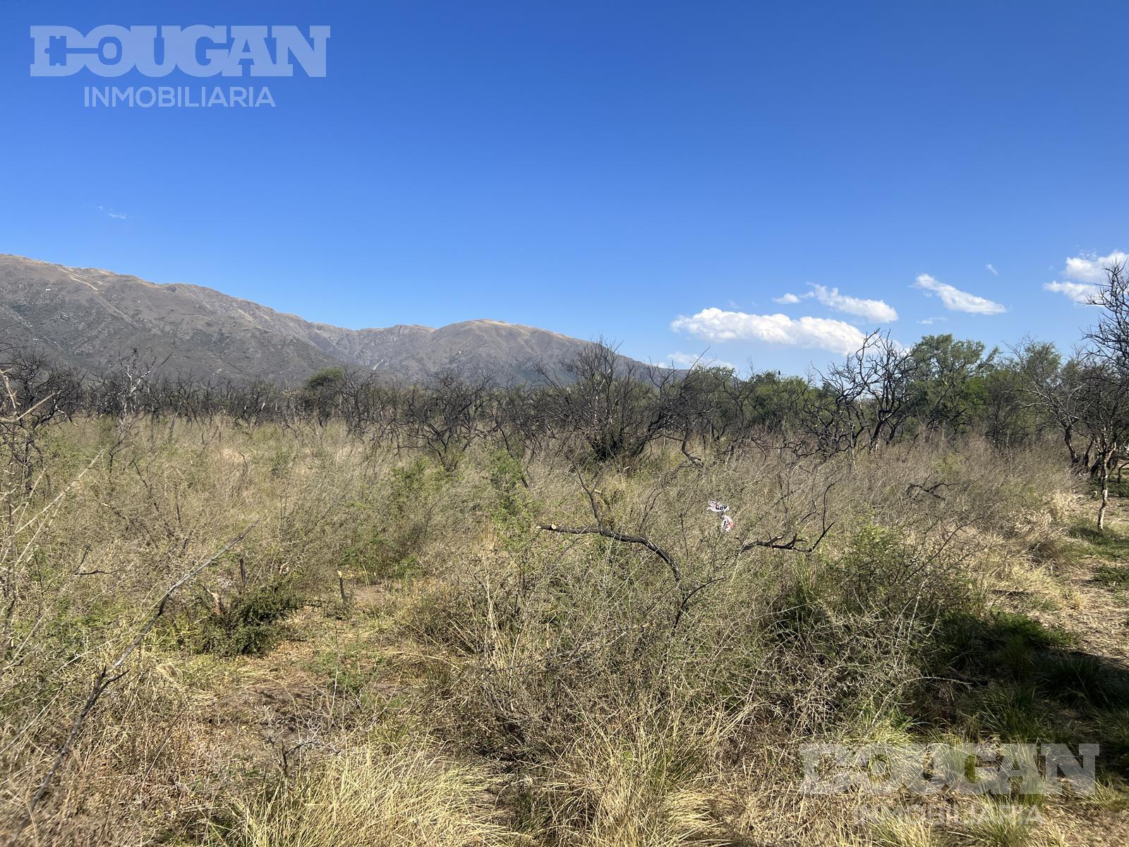 Terreno en  Carpintería