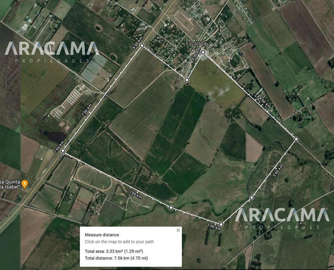 Campo sobre Ruta 193 (km 10) - Zarate