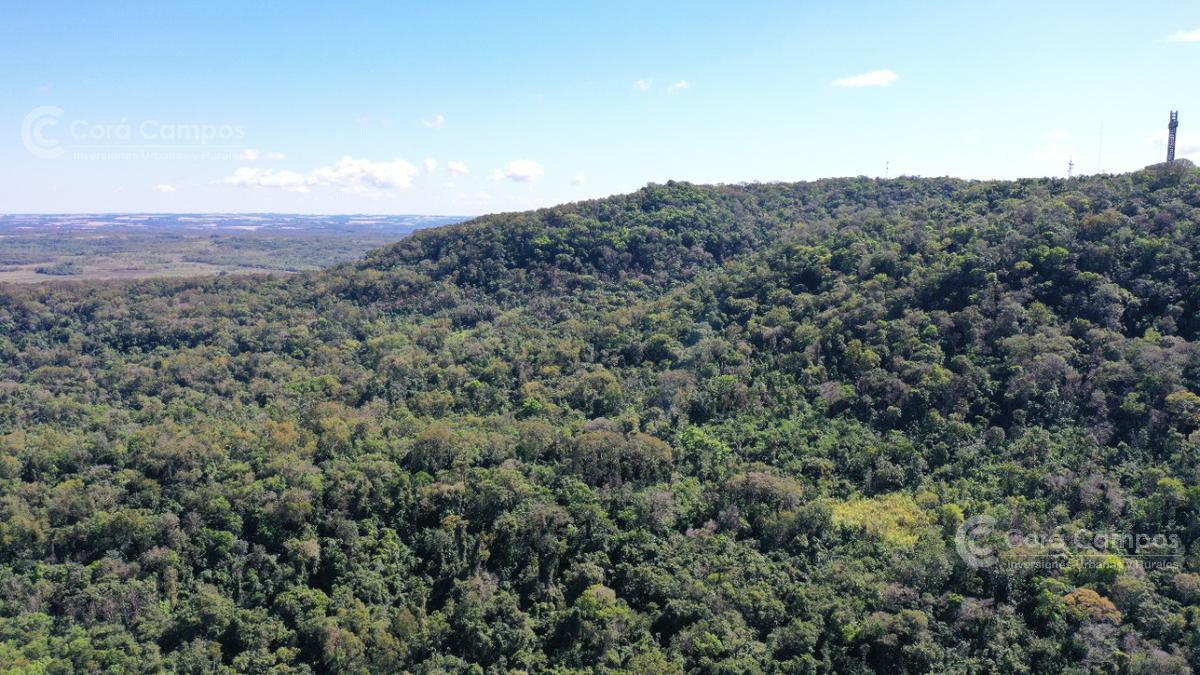 Se Vende Propiedad de 25 ha con Fines Turísticos en Cerro Cora, Misiones