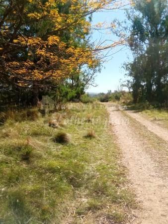 LOTES EN VENTA  CAPILLA VIEJA  LOS REARTES