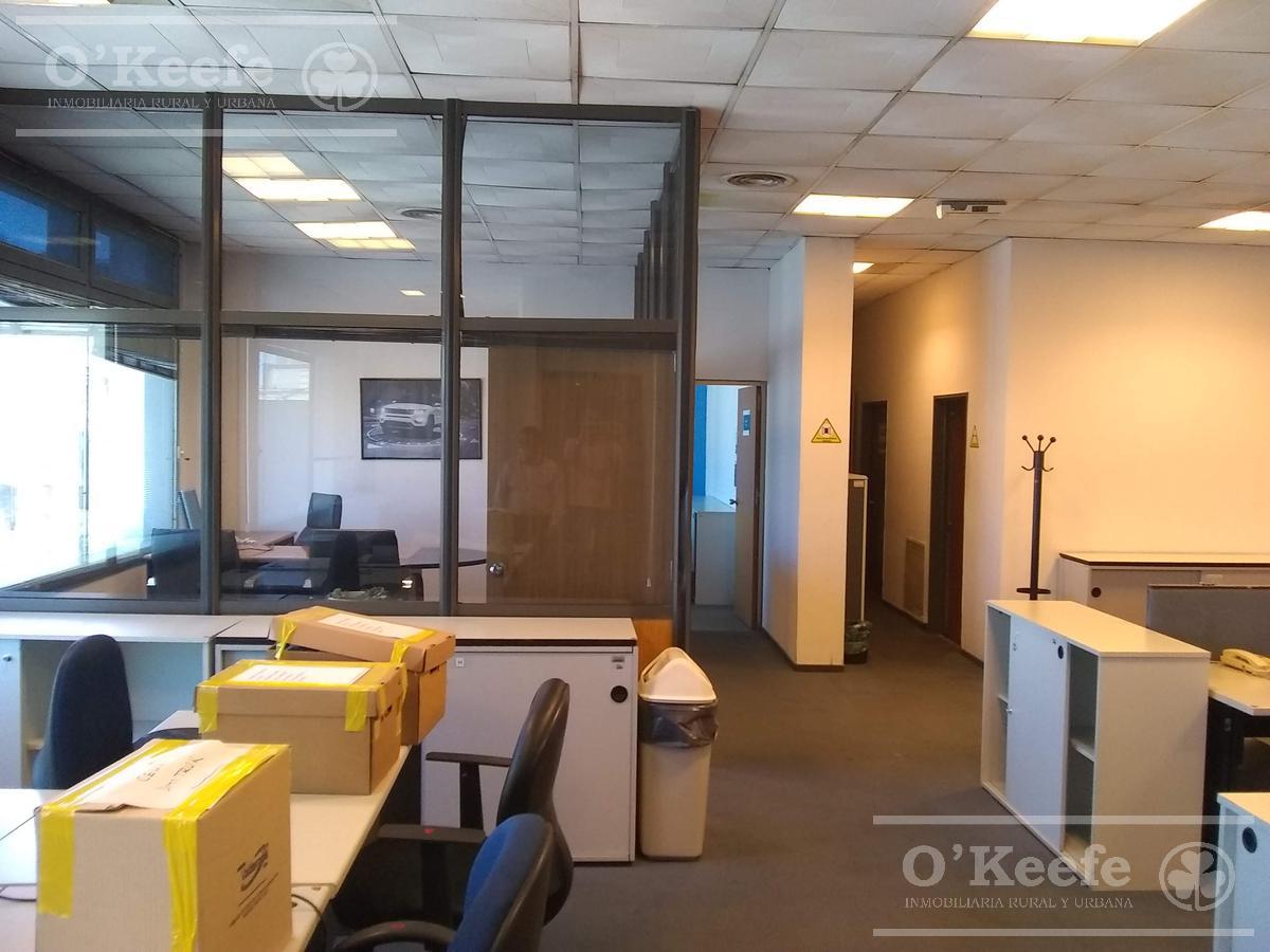 ALQUILER DE OFICINAS ZONA MONSERRAT - CABA - 2.229 M2