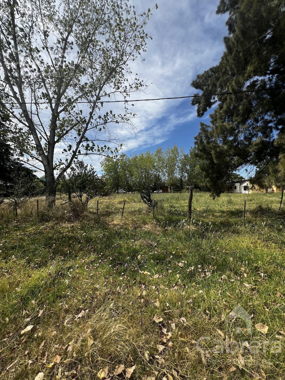 Terreno en  venta en Olmos La Plata