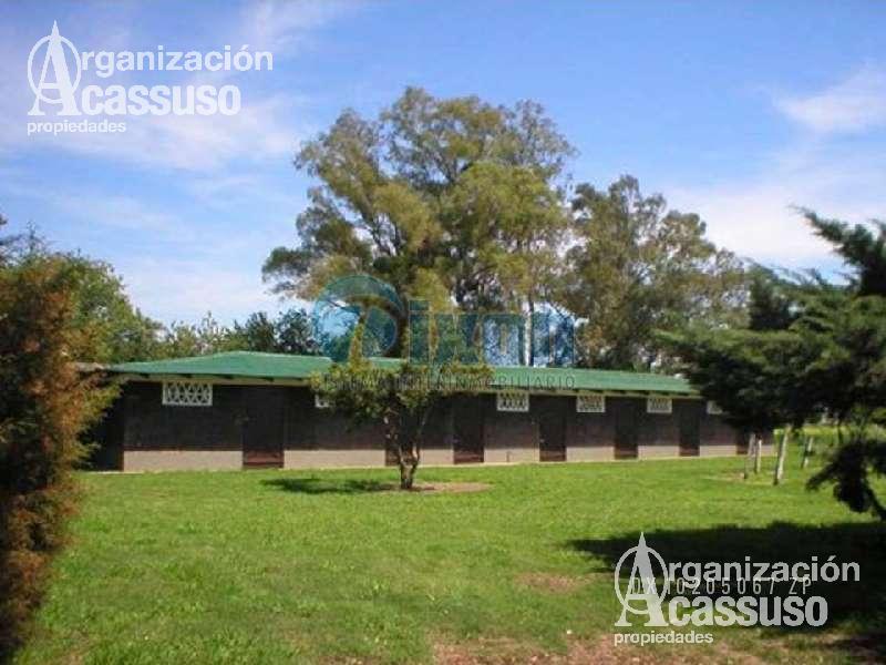 Chacra en  Venta - San Antonio de Areco