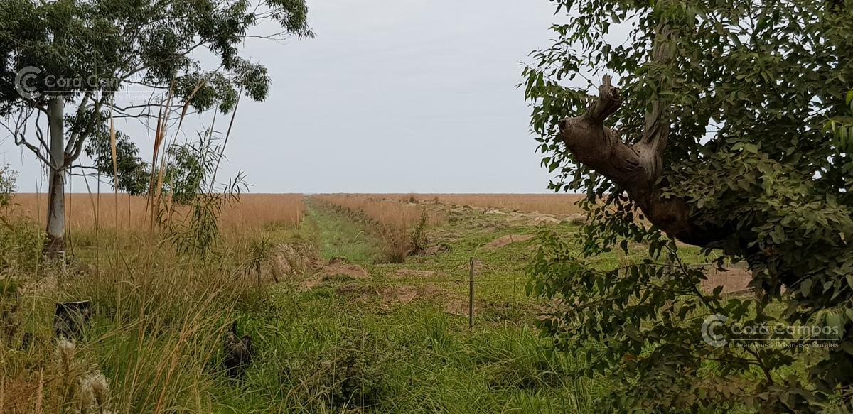 Se vende Campo sobre los esteros del Iberá. Paraje Galarza