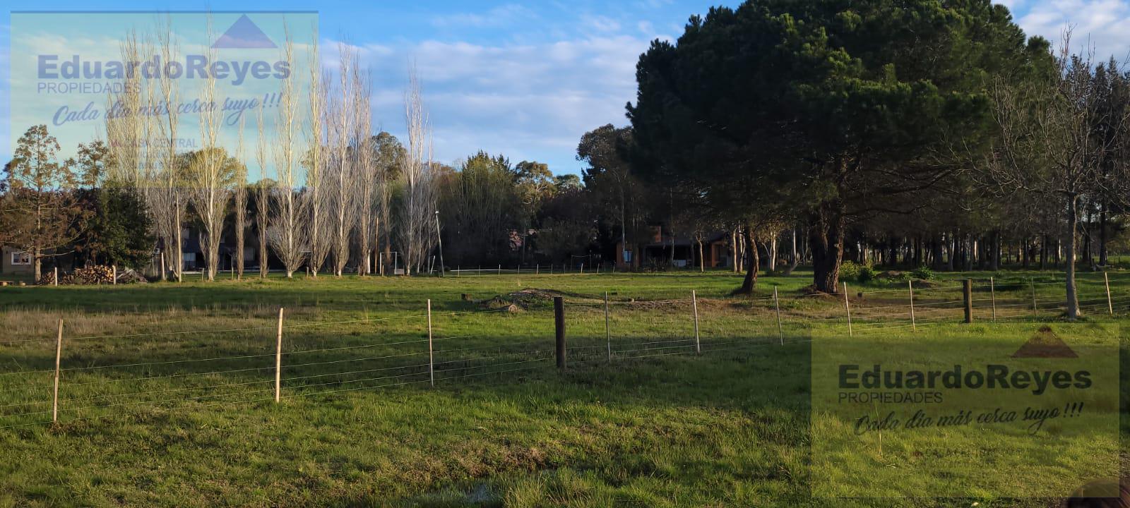 Terreno - Parque Las Naciones