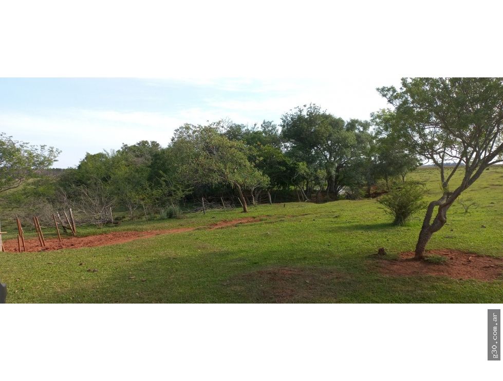 Campo Se Vende, De 214 Has. Zona Gdor. Virasoro - Corrientes